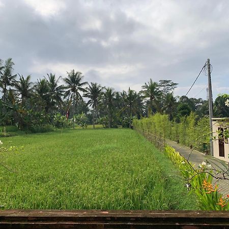 Adi Laxmi Villa Ubud ภายนอก รูปภาพ