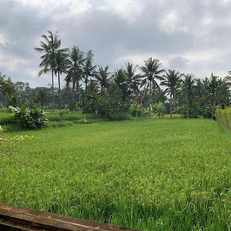 Adi Laxmi Villa Ubud ภายนอก รูปภาพ