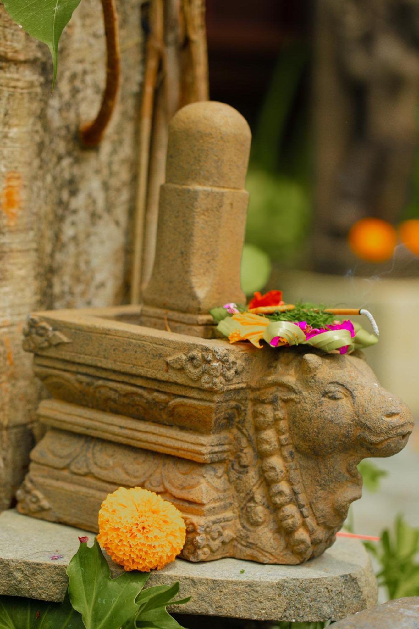 Adi Laxmi Villa Ubud ภายนอก รูปภาพ