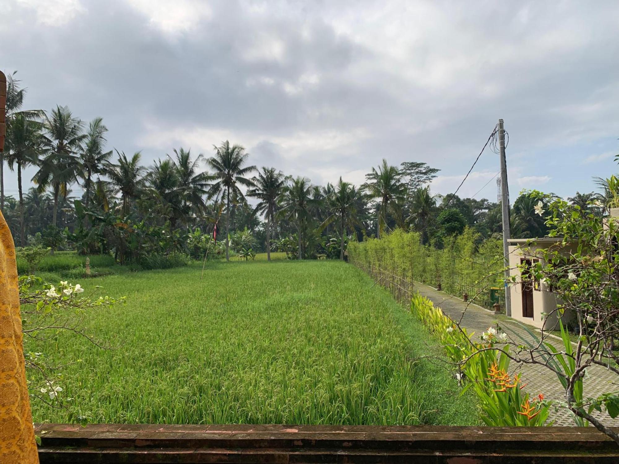 Adi Laxmi Villa Ubud ภายนอก รูปภาพ