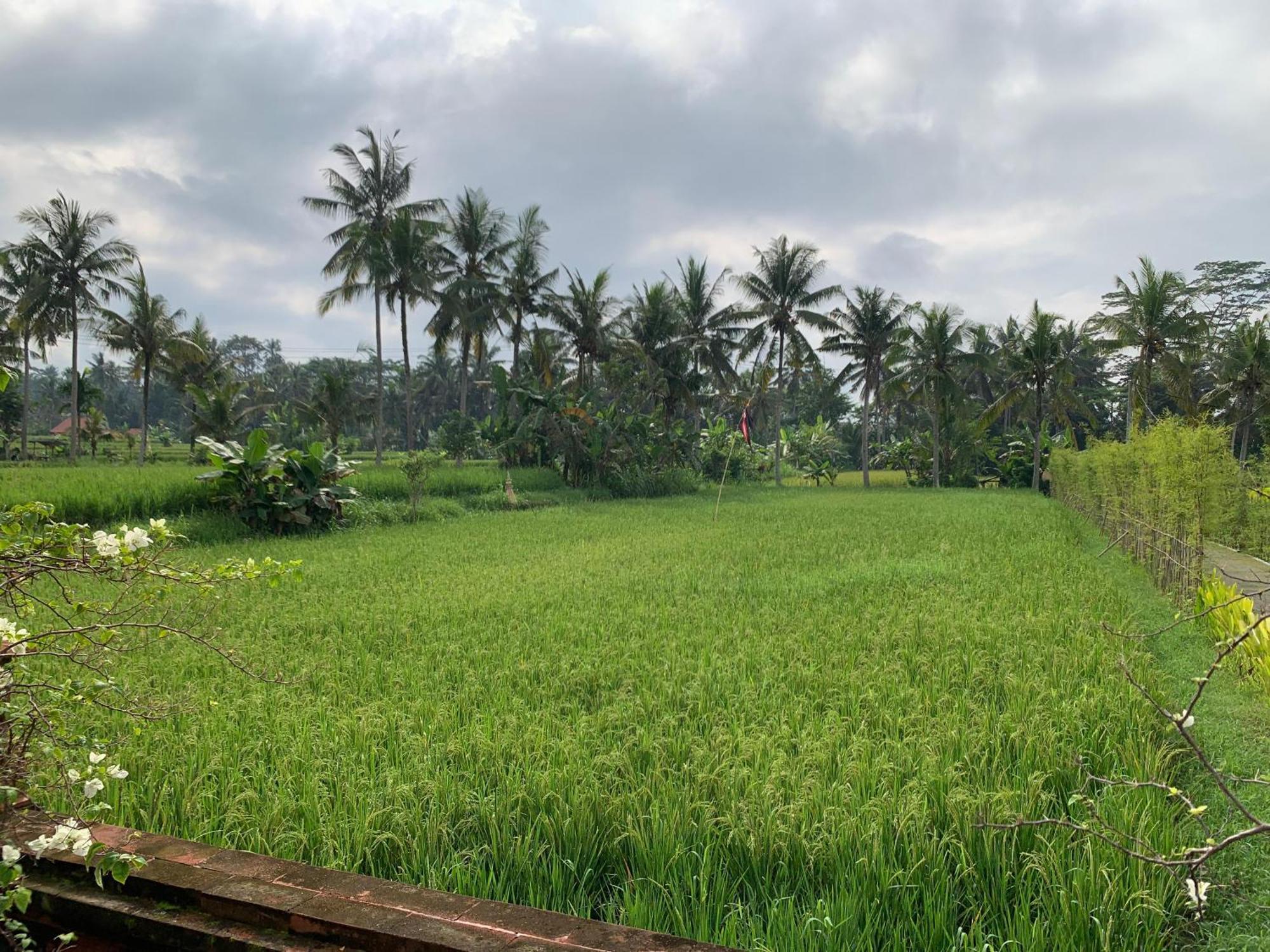Adi Laxmi Villa Ubud ภายนอก รูปภาพ