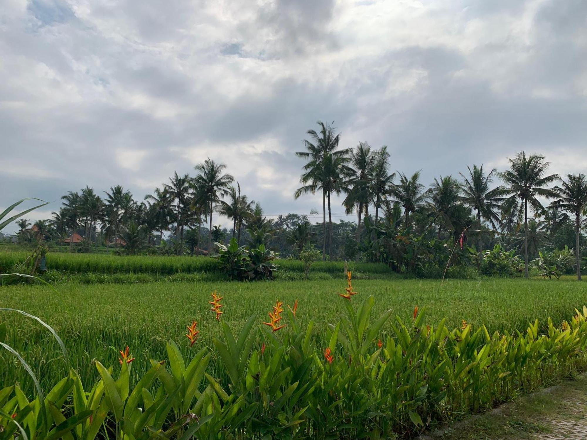 Adi Laxmi Villa Ubud ภายนอก รูปภาพ